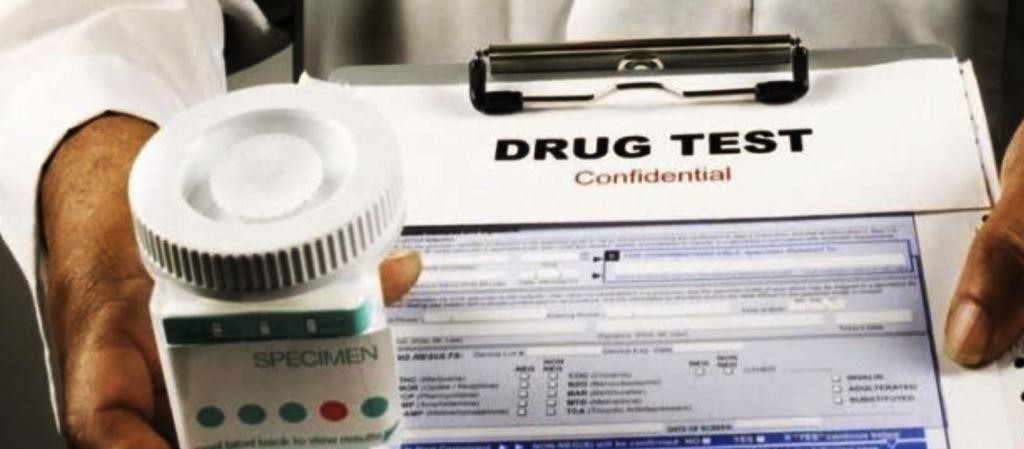 Synthetic Urine Quick Fix Adrian MN 56110